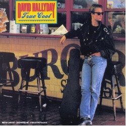 David Hallyday True Cool Vinyl LP USED