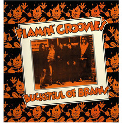The Flamin' Groovies Bucketful Of Brains Vinyl LP USED