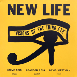 New Life Trio Visions Of The Third Eye Vinyl LP USED