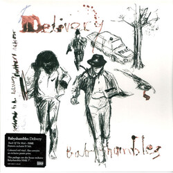 Babyshambles Delivery USED VINYL 7INCH 45 RPM SINGLE