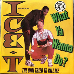 Ice-T What Ya Wanna Do? USED VINYL 12INCH 45 RPM SINGLE