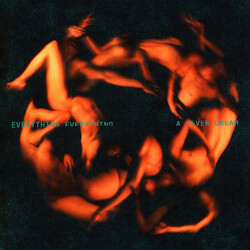 Everything Everything A Fever Dream Vinyl LP USED