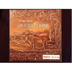 James Gang Straight Shooter Vinyl LP USED
