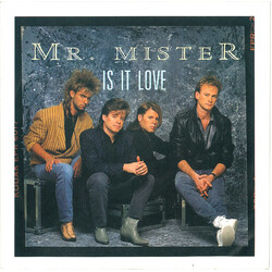 Mr. Mister Is It Love USED VINYL 7INCH 45 RPM SINGLE STEREO