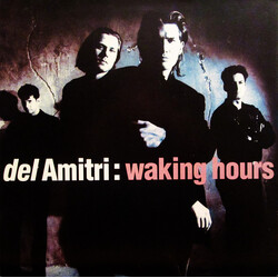 Del Amitri Waking Hours Vinyl LP USED