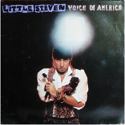 Little Steven Voice Of America Vinyl LP USED