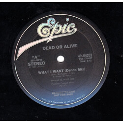 Dead Or Alive What I Want USED VINYL 12INCH 33 S RPM PROMO STEREO
