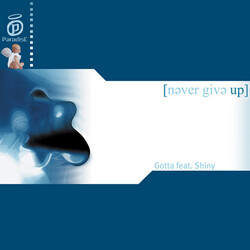 Gotta / Shiny Never Give Up VINYL 12" USED