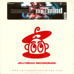 Karmadelic Flip Your Mind VINYL 12" USED