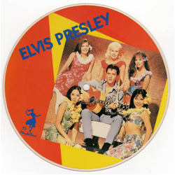 Elvis Presley Heartbreak Hotel / I Was The One Vinyl 7" USED