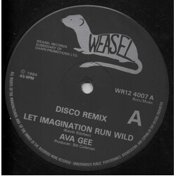 Ava Gee Let Imagination Run Wild USED VINYL 12INCH