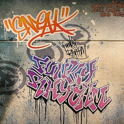DJ Sneak Funky Rhythm USED VINYL 12INCH 33 S RPM