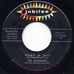 The Raindrops What A Guy / It's So Wonderful USED VINYL 7INCH 45 RPM SINGLE