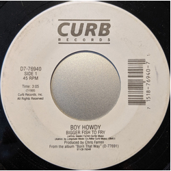Boy Howdy Bigger Fish To Fry Vinyl 7" USED