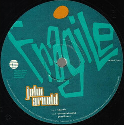 John Arnold Universal Mind VINYL 12" USED