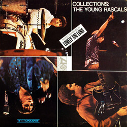 The Young Rascals Collections Vinyl LP USED