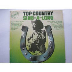 Various Top Country Sing - A - Long Vinyl LP USED