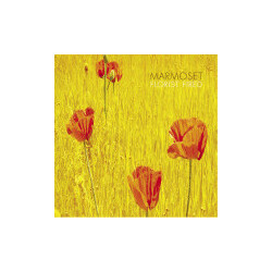 Marmoset Florist Fired Vinyl LP USED