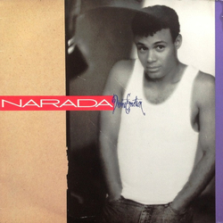 Narada Michael Walden Divine Emotion Vinyl LP USED