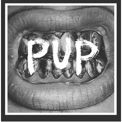 Pup (3) PUP Vinyl LP USED