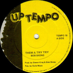 Bob Skeng Them A Try Try / Signs Vinyl 12" USED