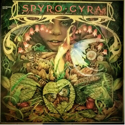 Spyro Gyra Morning Dance Vinyl LP USED