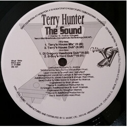 Terry Hunter The Sound VINYL 12" USED