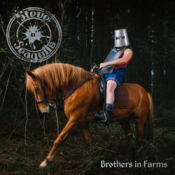 Steve'n'Seagulls Brothers In Farms Vinyl 2 LP USED