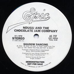 Leon Ndugu Chancler / The Chocolate Jam Co. Shadow Dancing USED VINYL 12INCH 33 S RPM PROMO