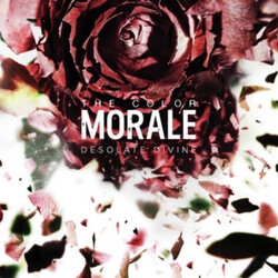 The Color Morale Desolate Divine Vinyl LP USED