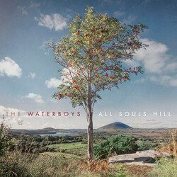 The Waterboys All Souls Hill Vinyl LP USED