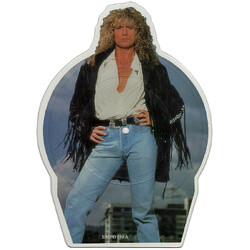 Whitesnake Now You're Gone USED VINYL 7INCH SHAPE PICTURE DISC LIMITED EDITION