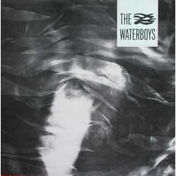 The Waterboys The Waterboys Vinyl LP USED