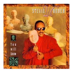 Stevie Wonder You Will Know USED VINYL 7INCH 45 RPM