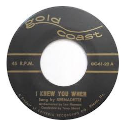 Bernadette Castro I Knew You When / It's Almost Tomorrow Vinyl 7" USED