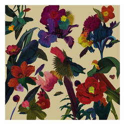 Washed Out Paracosm Vinyl LP USED