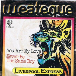 Liverpool Express You Are My Love / Never Be The Same Boy Vinyl 7" USED