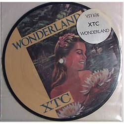 XTC Wonderland USED VINYL 7INCH 45 RPM SINGLE PICTURE DISC STEREO