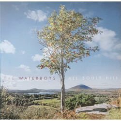The Waterboys All Souls Hill Vinyl LP USED