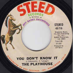 The Playhouse You Don't Know It USED VINYL 7INCH 45 RPM SINGLE