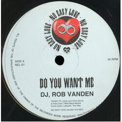 Rob Vanden Do You Want Me / Pumpin Love USED VINYL 12INCH 45 RPM