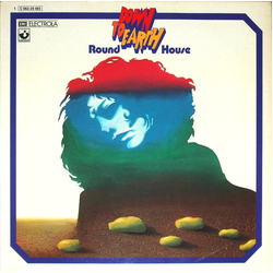 Round House (2) Down To Earth Vinyl LP USED