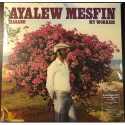 Ayalew Mesfin Hasabe - My Worries Vinyl LP USED