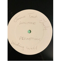 Terence Trent D'Arby Wishing Well (Three Coins In A Fountain Mix) USED VINYL 12INCH WHITE LABEL PROMO