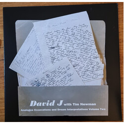 David J / Tim Newman (11) Analogue Excavations And Dream Interpretations Volume Two Vinyl LP USED