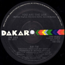 AM-FM You Are The One USED VINYL 12INCH 33 S RPM