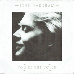 John Farnham You're The Voice Vinyl 7" USED