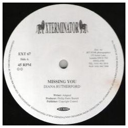 Diana Rutherford Missing You Vinyl 12" USED