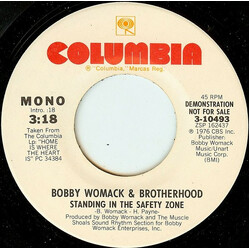 Bobby Womack / Brotherhood (13) Standing In The Safety Zone Vinyl 7" USED