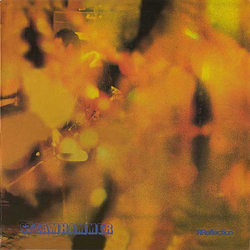 Steamhammer Reflection Vinyl LP USED